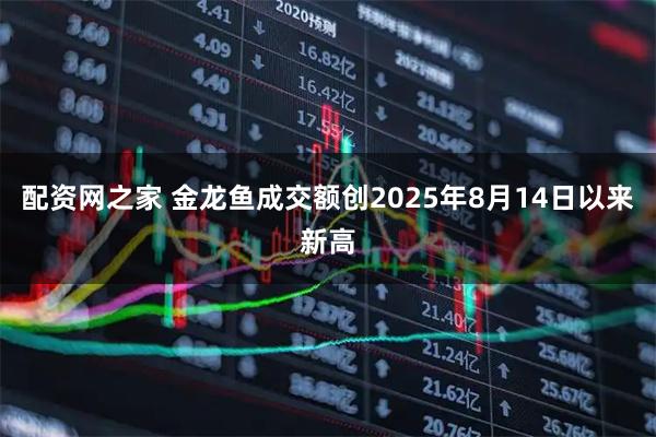 配资网之家 金龙鱼成交额创2025年8月14日以来新高
